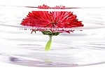 aroma10.jpg